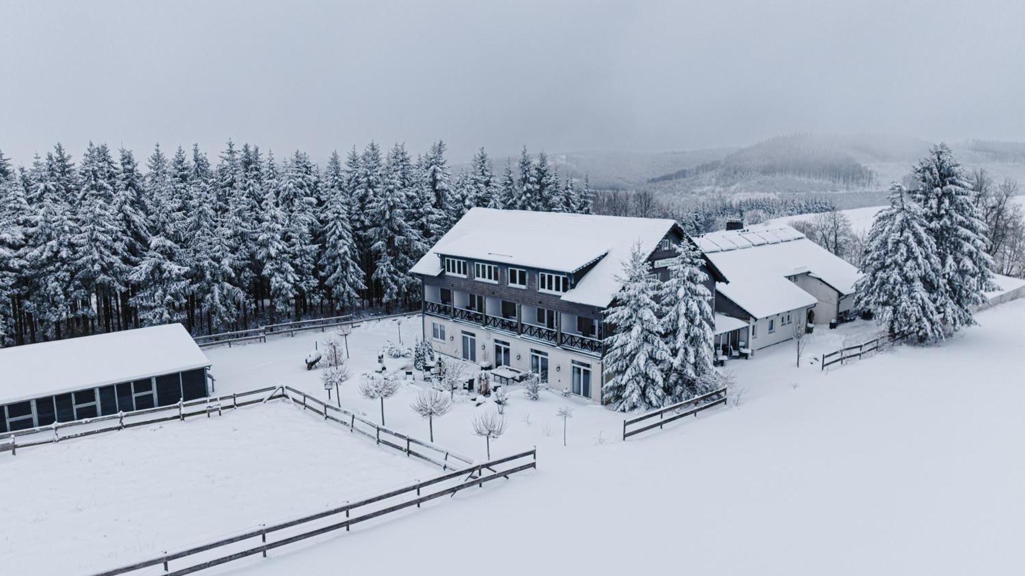 Landhotel Flora & Fauna (Adults Only) Winterberg Kültér fotó